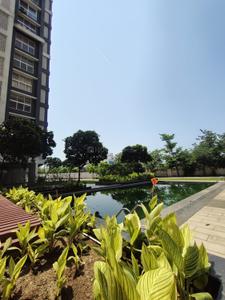 Image of 1355 Sq.ft 3 BHK Apartment / Flat for sale in Wallfort Sapphire, Sarona, Raipur for Rs. 5216000