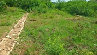 Image of 1000 Sq.ft Residential Plot / Land for sale in Maharajpura, Gwalior for Rs. 2500000