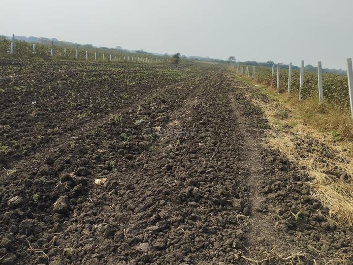 Siddipet Main Image 1