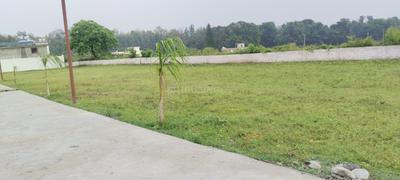 Image of 2250 Sq.ft Residential Plot / Land for sale in Bhauwala, Dehradun for Rs. 6750000