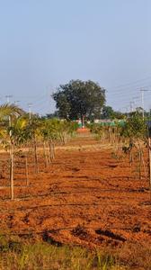 Image of 600 Sq.ft Residential Plot / Land for sale in Bibinagar, Yadadri Bhuvanagiri for Rs. 3300000