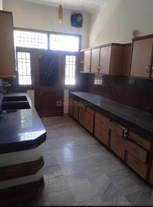 Kitchen Image of 1550 Sq.ft 3 BHK Apartment / Flat for rent in Progressive Society, Sector 50 Chandigarh for Rs. 42000