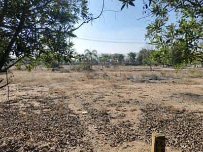 Tukkuguda Plot View 2