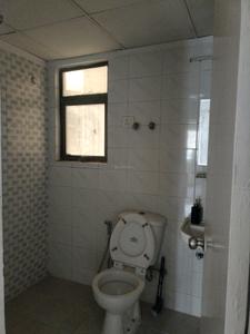 Common Bathroom Image of 855 Sq.ft 2 BHK Apartment / Flat for rent in Eros Sampoornam, Noida Extension Greater Noida for Rs. 17200