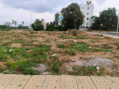 Residential Plot