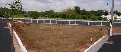 Pathukannu Plot View 3