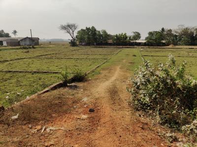 Image of 12200 Sq.ft Residential Plot / Land for sale in Balianta, Bhubaneswar for Rs. 21000000