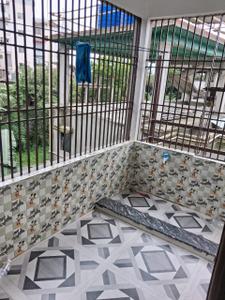 Balcony Image of 1000 Sq.ft 2 BHK Independent House for rent in Mahabhairab Tezpur for Rs. 10000