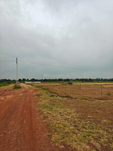 Image of 1250 Sq.ft Residential Plot / Land for sale in Naya Raipur, Raipur for Rs. 998750