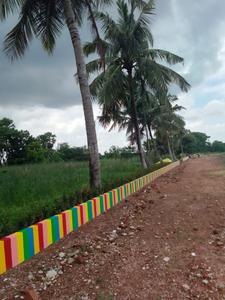 Residential Plot