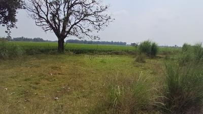 Near shailani mata mandir More Images 2