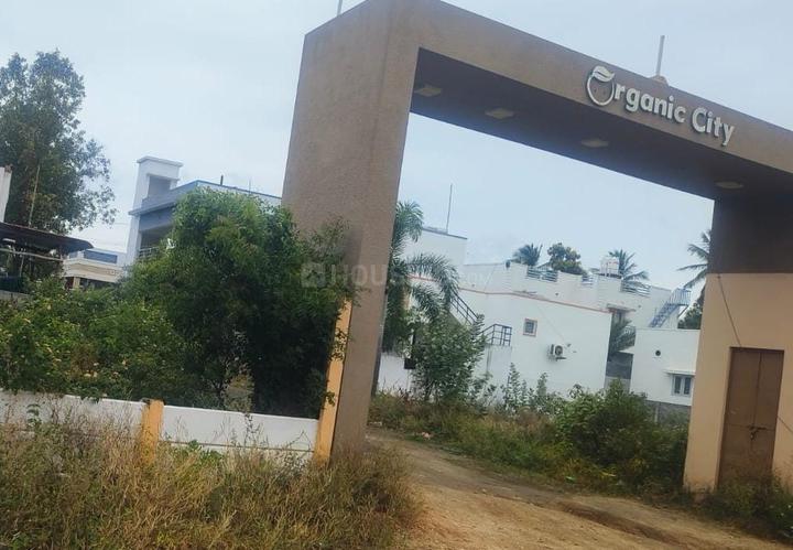 Bilichi Main Image 1