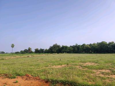 Image of 200 Sq.ft Residential Plot / Land for sale in Alair, Yadadri Bhuvanagiri for Rs. 1900002
