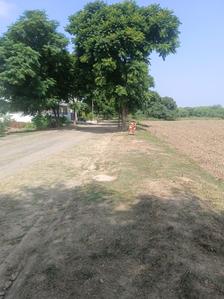 Image of 500 Sq.ft Residential Plot / Land for sale in Sector 97, Mohali for Rs. 39000000