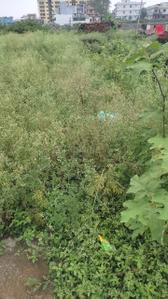 Image of 1350 Sq.ft Residential Plot / Land for sale in Sahastradhara Road, Dehradun for Rs. 10200000