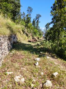 Image of 2809 Sq.ft Residential Plot / Land for sale in Mohan Range, Almora for Rs. 22000000