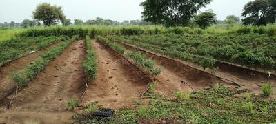 Image of 10000 Sq.ft Residential Plot / Land for sale in Bhatagaon, Raipur for Rs. 4400000