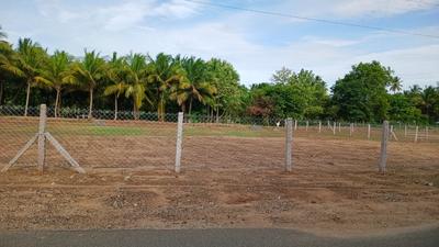 Image of 6426 Sq.ft Residential Plot / Land for sale in Tottanuthu, Dindigul for Rs. 8502000