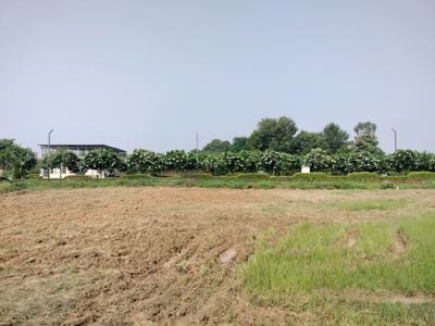 Image of 1152 Sq.ft Residential Plot / Land for sale in Mansha Oaks, Sector 98, Faridabad for Rs. 18100000