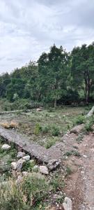Galajwari Plot View 3