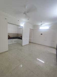 Hall Image of 1121 Sq.ft 2 BHK Apartment / Flat for rent in VJ Yashwin Nuovo Centro, Wakad Pune for Rs. 35000