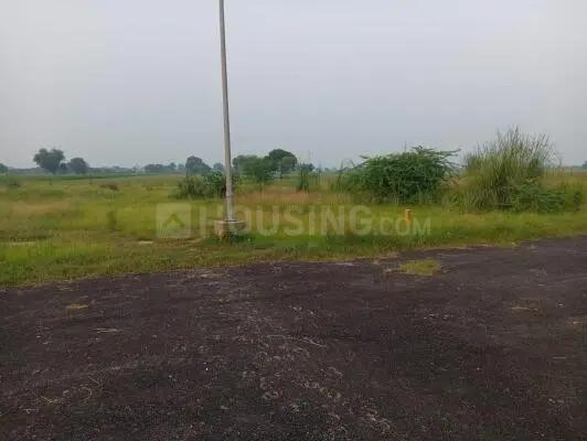 Sirsa Main Image 1