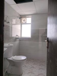 Common Bathroom Image of 1450 Sq.ft 3 BHK Apartment / Flat for rent in Amrapali Leisure Park, Noida Extension Greater Noida for Rs. 22000