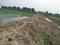 Beldari Chak Plot View 2