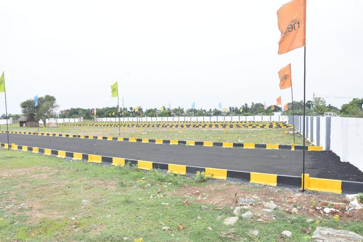 golden square Main Image 1