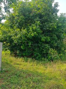 Image of 45302 Sq.ft Residential Plot / Land for sale in Kadavur, Madurai for Rs. 20000000