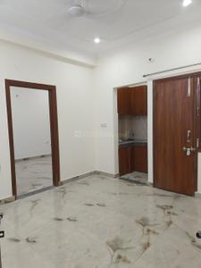 Hall Image of 550 Sq.ft 1 BHK Independent House for rent in Maestro Infra Tech South Delhi Apartments, Chhattarpur New Delhi for Rs. 12000