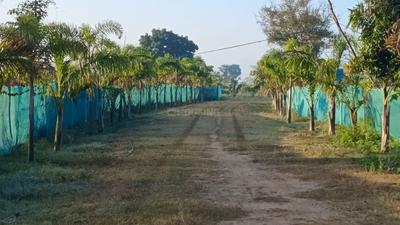 Image of 1200 Sq.ft 1 BHK Farm House for sale in Madurantakam, Chennai for Rs. 4000000