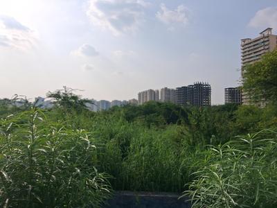 Image of 1000 Sq.ft Residential Plot / Land for sale in Sector 79, Noida for Rs. 15000000