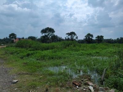 Nest Valley Plot View 1