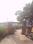 Govardhan Main Image 1