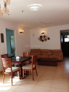 Hall Image of 2500 Sq.ft 2 BHK Apartment / Flat for rent in Heritage Floresta, Siolim Goa for Rs. 80000