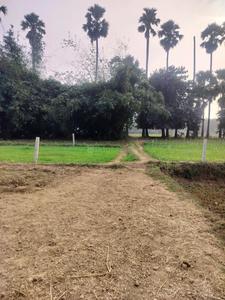 Residential Plot