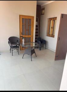 Hall Image of 800 Sq.ft 1 RK Builder Floor for rent in Dalanwala Dehradun for Rs. 14000