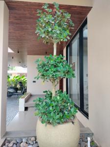 Balcony Image of 5000 Sq.ft 4 BHK Independent House for sale in Kakkanad Kochi for Rs. 42000000