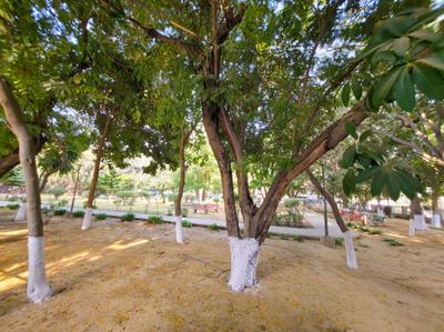 Image of 700 Sq.ft 1 BHK Builder Floor for rent in Sector 46, Gurgaon for Rs. 38000
