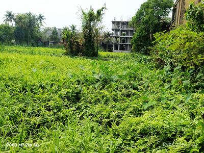Image of 1440 Sq.ft Residential Plot / Land for sale in Kaikhali, Kolkata for Rs. 6500000