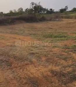 Chittur Plot View 3