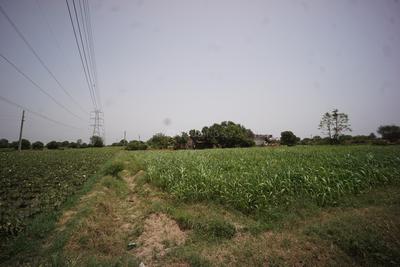 Image of 5233 Sq.ft Residential Plot / Land for sale in Dahegam, Gandhinagar for Rs. 23100000