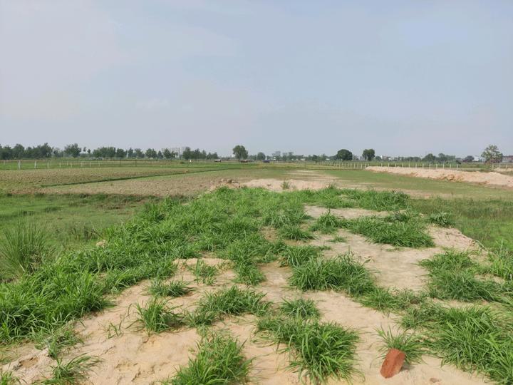 Chhapraula Main Image 1