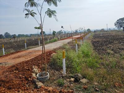 Image of 5000 Sq.ft Residential Plot / Land for sale in Jotpur, Jabalpur for Rs. 1100000