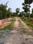Natures Paradise Internal Roads 1