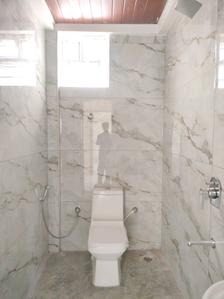 Common Bathroom Image of 1370 Sq.ft 3 BHK Apartment / Flat for sale in MR Gokulam, Doddanagamangala Bengaluru for Rs. 7430000