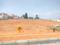 Koppa Gate Plot View 2