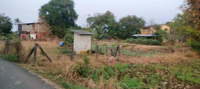Image of 3000 Sq.ft Residential Plot / Land for sale in Kihim, Alibag for Rs. 5500000