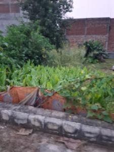 Image of 1375 Sq.ft Residential Plot / Land for sale in Parmanandpur, Varanasi for Rs. 5000000